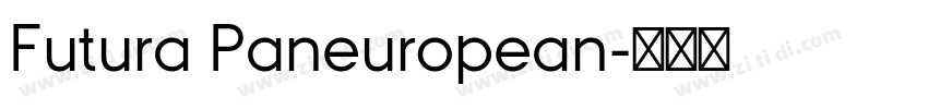 Futura Paneuropean字体转换 Futura Paneuropean字体转换